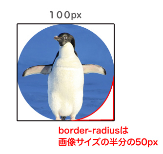 プロフィール画像やサムネイルを丸く切り抜くcss Border Radiusコピペ版 K Id